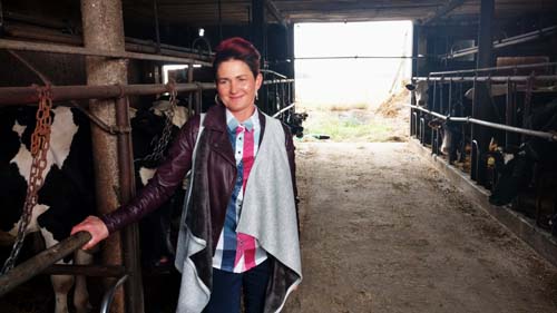 Wioletta Sasinowska, hodowla krów mlecznych - obrazek 8